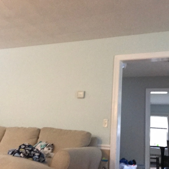 Meet your Posher, Andrew - Picture 1 of 1